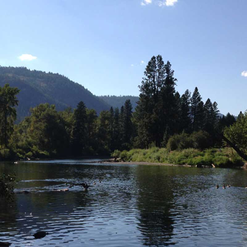 The winding kettle river on a bright summer day